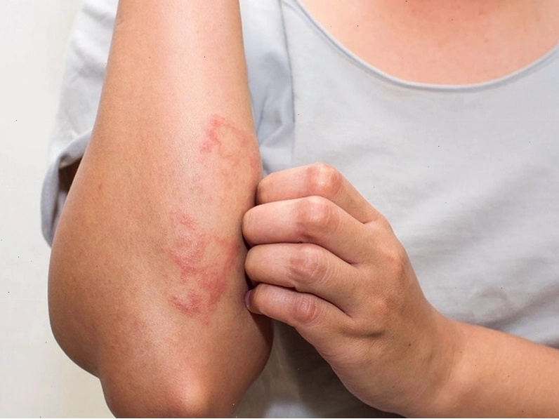 Cần tây và các loại rau củ tươi ngon