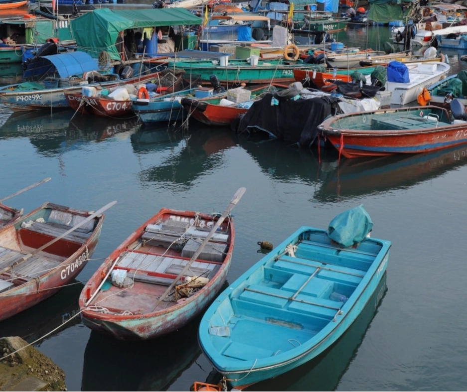 Cảng cá Bình Châu