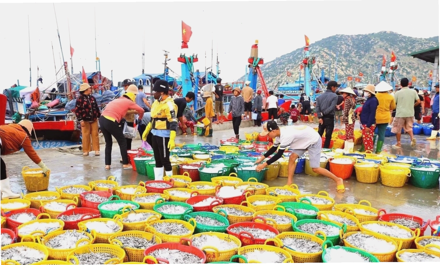 Cảng cá Cà Ná Ninh Thuận tấp nập tàu thuyền