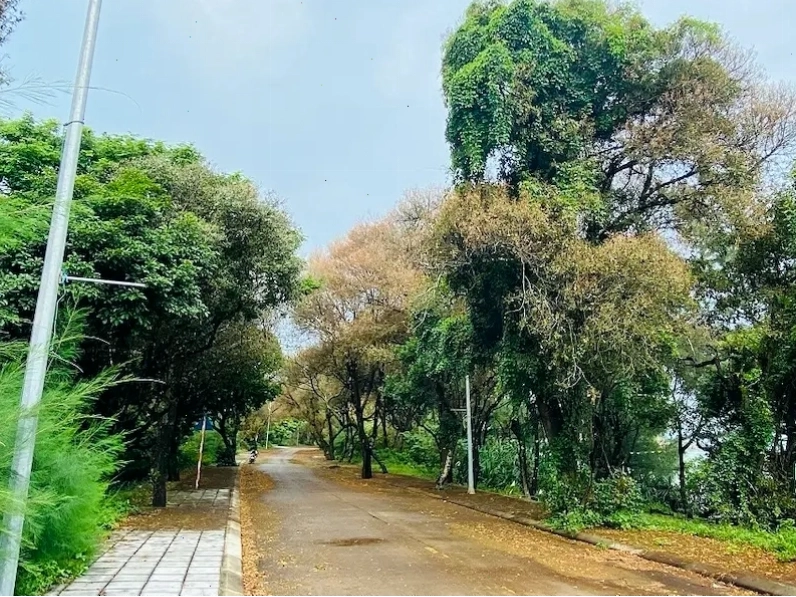 Cảnh biển Cô Tô lúc hoàng hôn