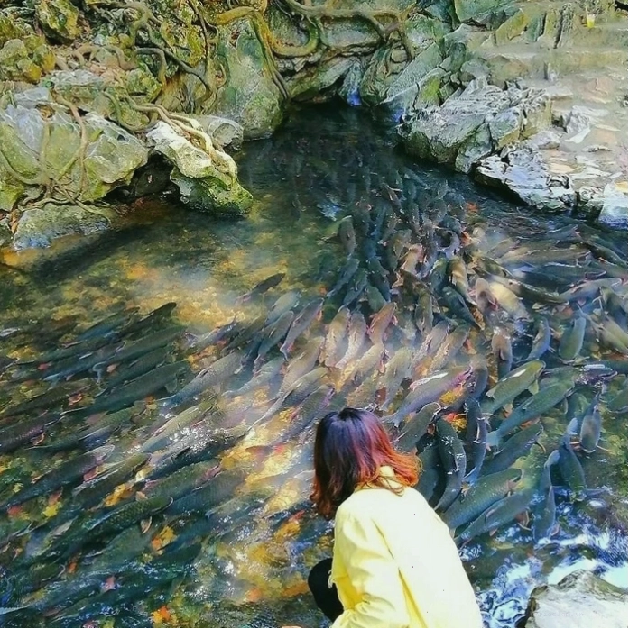 Cảnh đẹp Thanh Hóa
