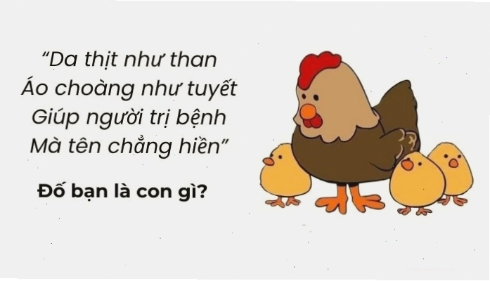 Câu hỏi mẹo đố vui hack não có đáp án