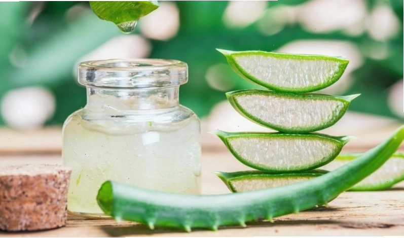 Chế biến nha đam đúng cách để loại bỏ nhựa độc
