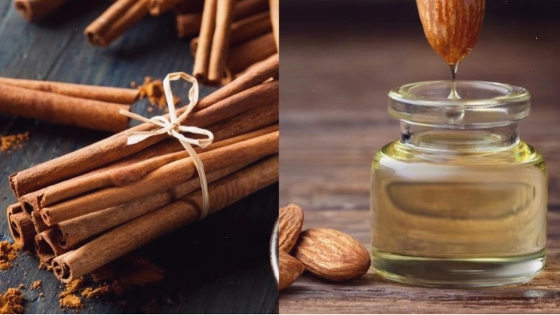 Chuẩn bị nguyên liệu làm tinh dầu quế bằng phương pháp ngâm lạnh