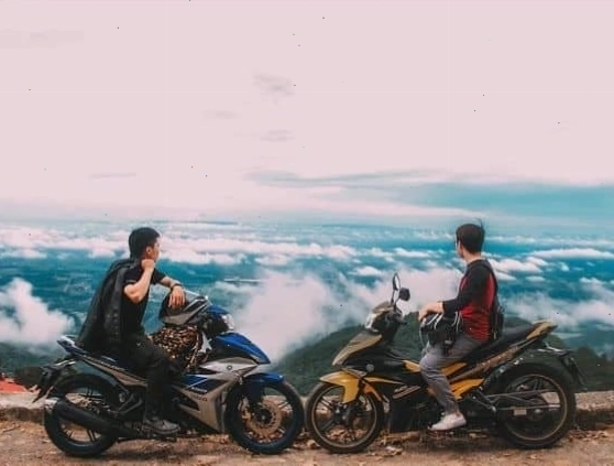 Con đường dẫn lên Tam Đảo với cảnh quan thiên nhiên xanh mát