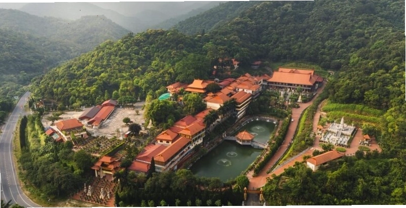 Con đường Tùng cổ thụ tại Yên Tử