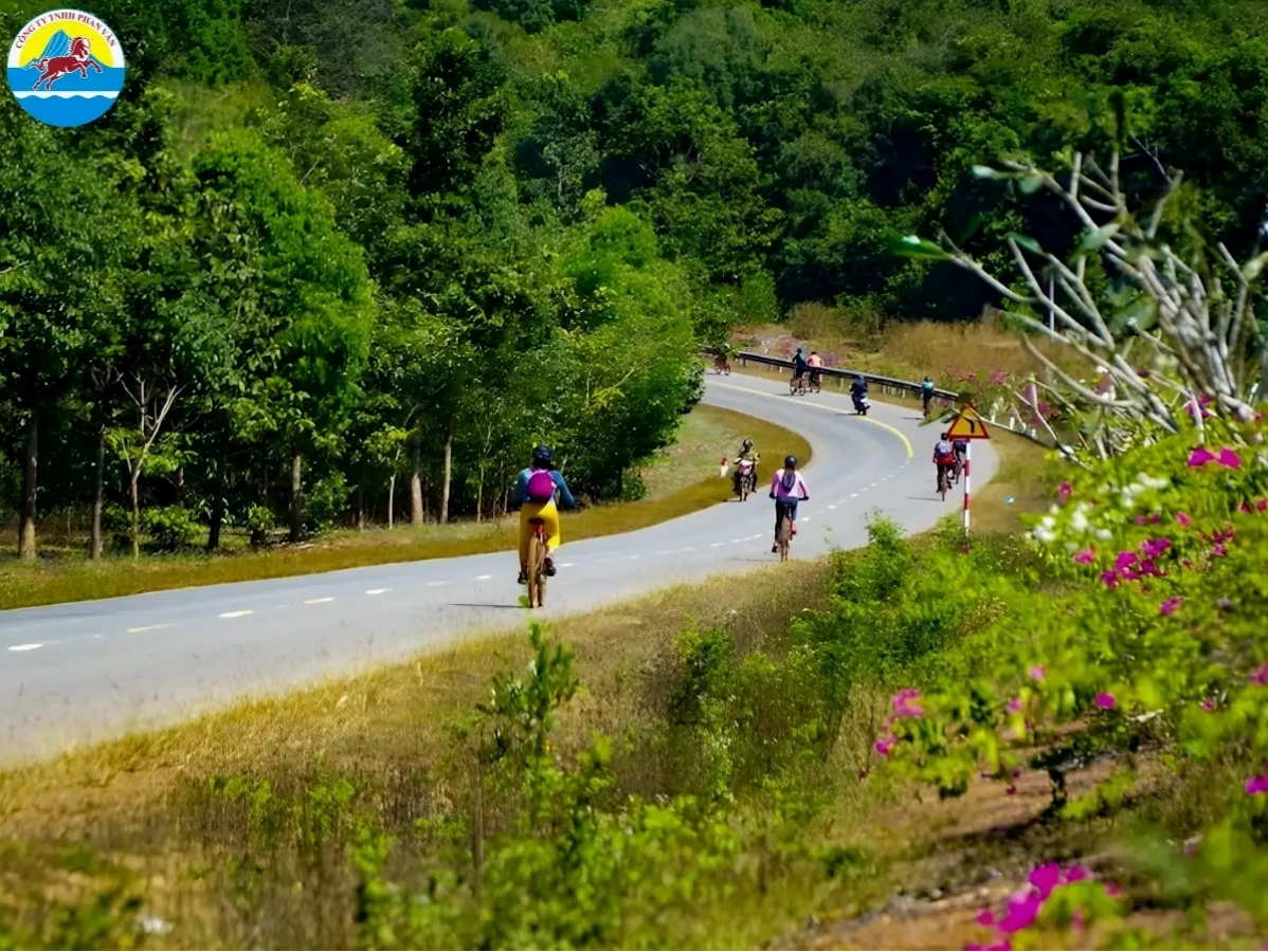 Cung đường rừng Mã Đà xanh mát dẫn đến Hồ Trị An