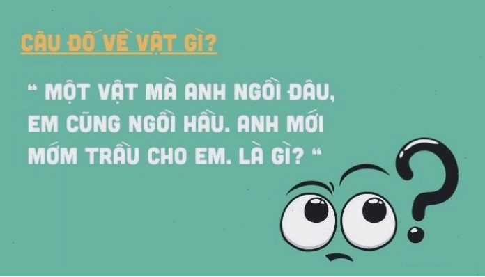 Danh sách các câu đố vui, hài hước giúp giải trí