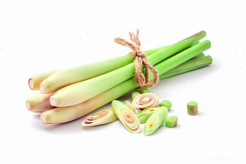 Dầu gội thảo dược với sả và vỏ bưởi