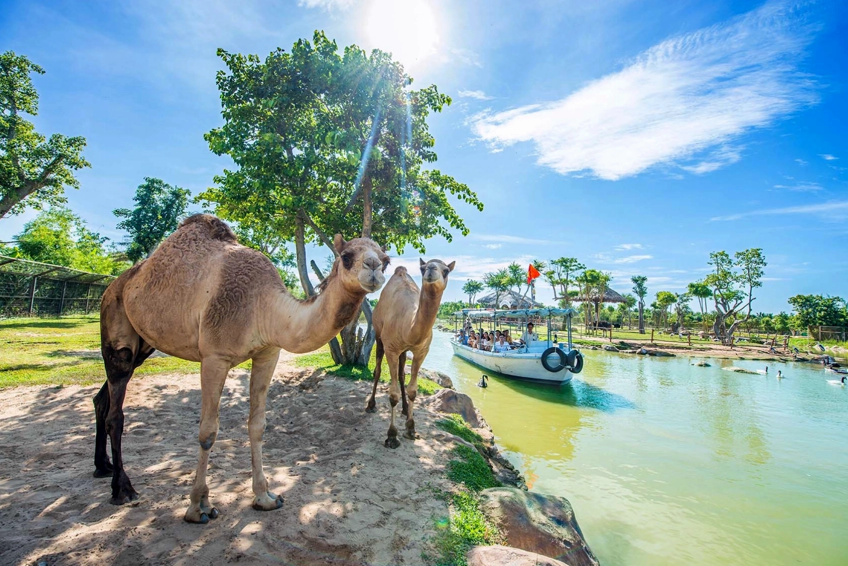 Du ngoạn trên sông và khám phá thiên nhiên hoang dã hai bên bờ