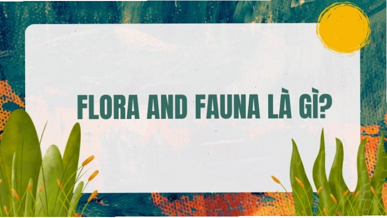 Flora and fauna là gì? Định nghĩa chi tiết về hệ thực vật và động vật.