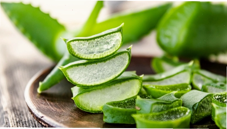 Gel lô hội giúp làm dịu và hỗ trợ tái tạo da vùng sẹo