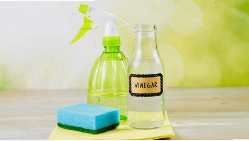 Giấm có nhiều công dụng hữu ích trong việc làm sạch và khử mùi tủ lạnh
