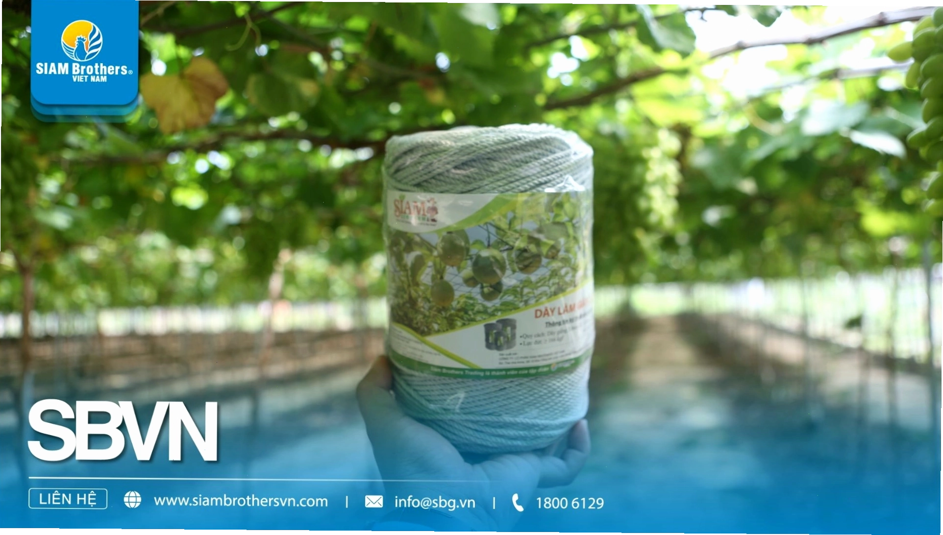 Giàn lưới hình chữ nhật cho cây leo ban công