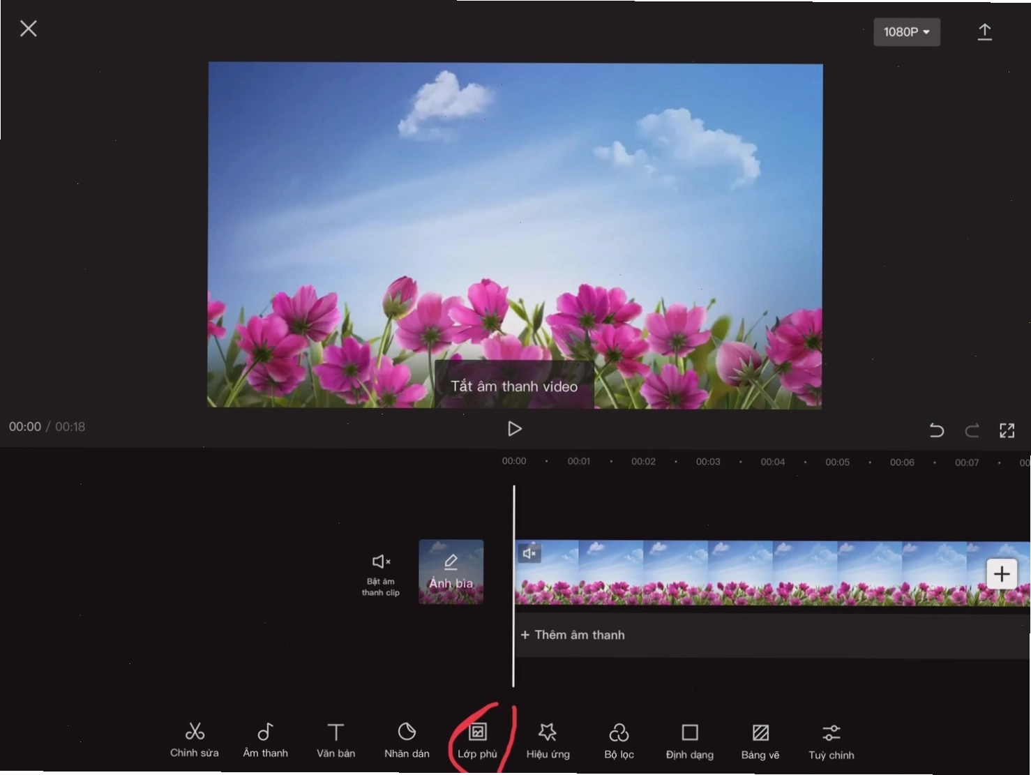 Giao diện Capcut với các tùy chọn mẫu video
