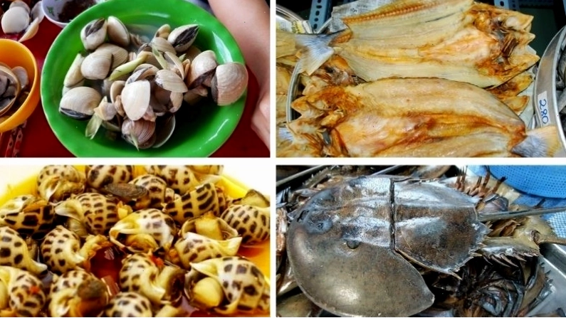 Hải sản tươi ngon tại bãi biển Tân Thành Gò Công