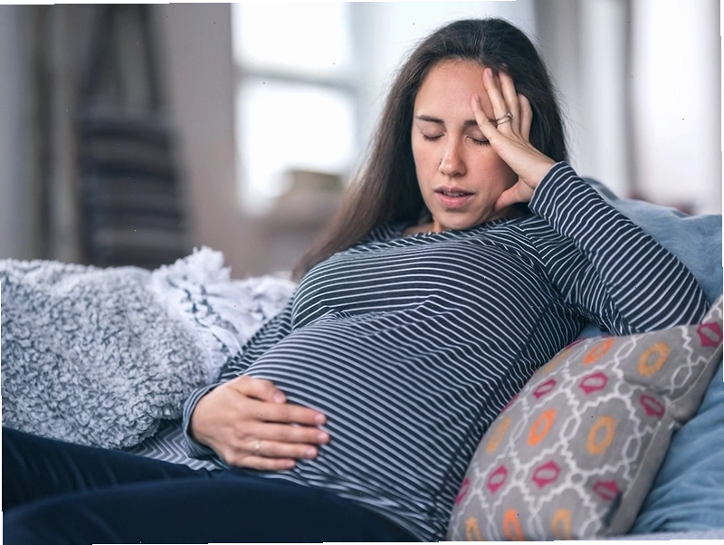 Hình ảnh một bát yến sào chưng đường phèn