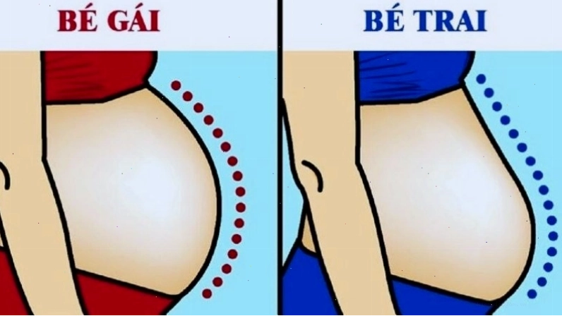 Hình dáng bụng giúp nhận biết giới tính của trẻ