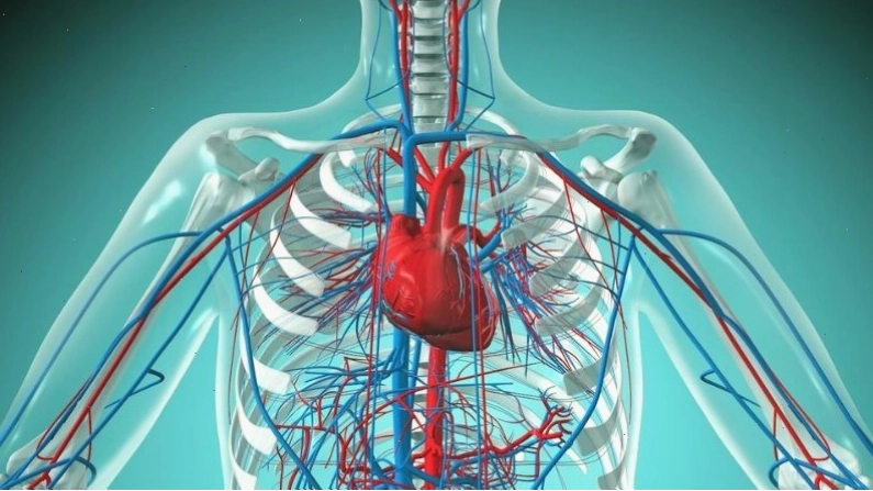 Hít bóng cười làm suy giảm chức năng cơ tim