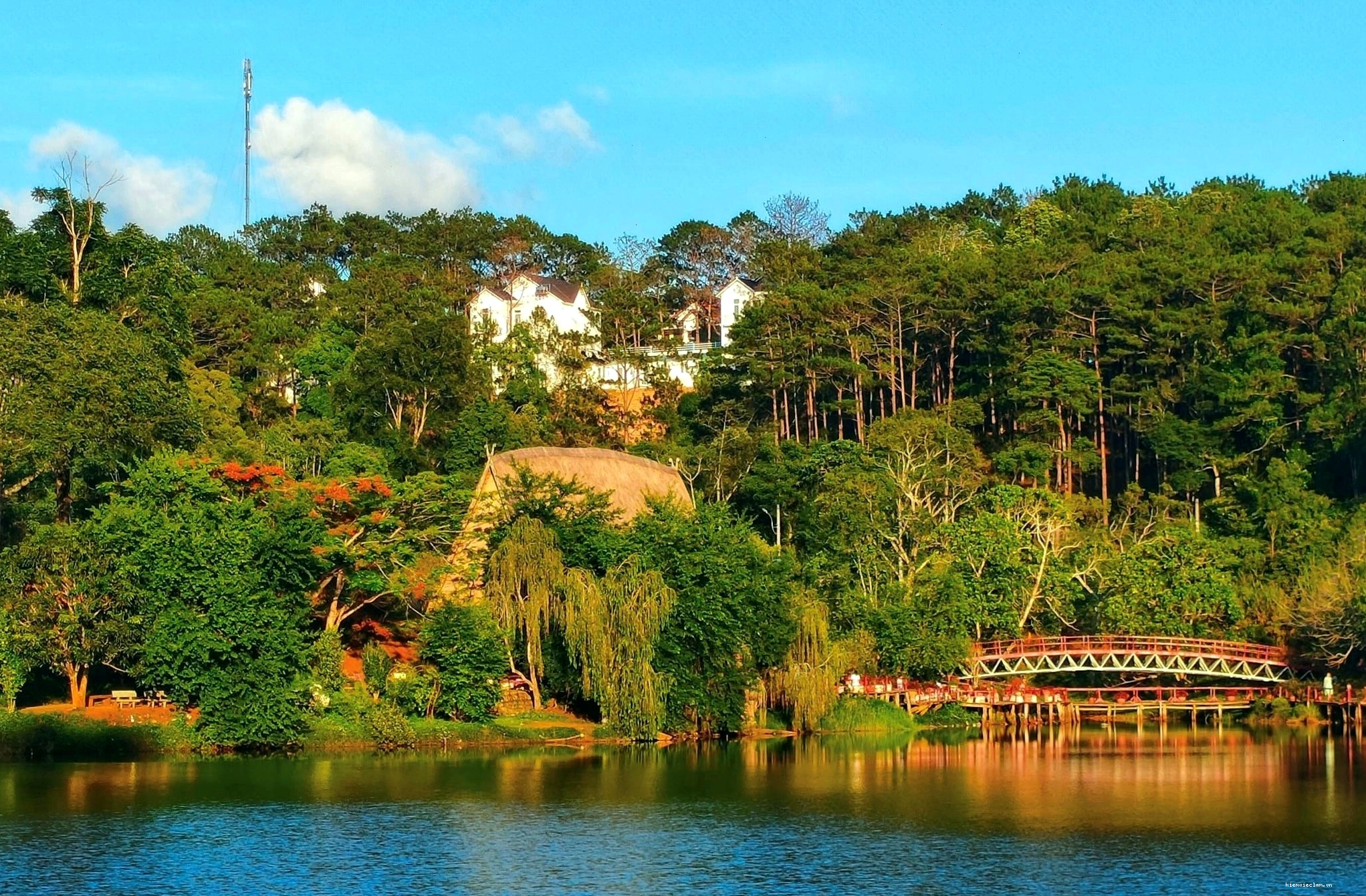 Hồ Đắk Ke yên bình giữa rừng thông
