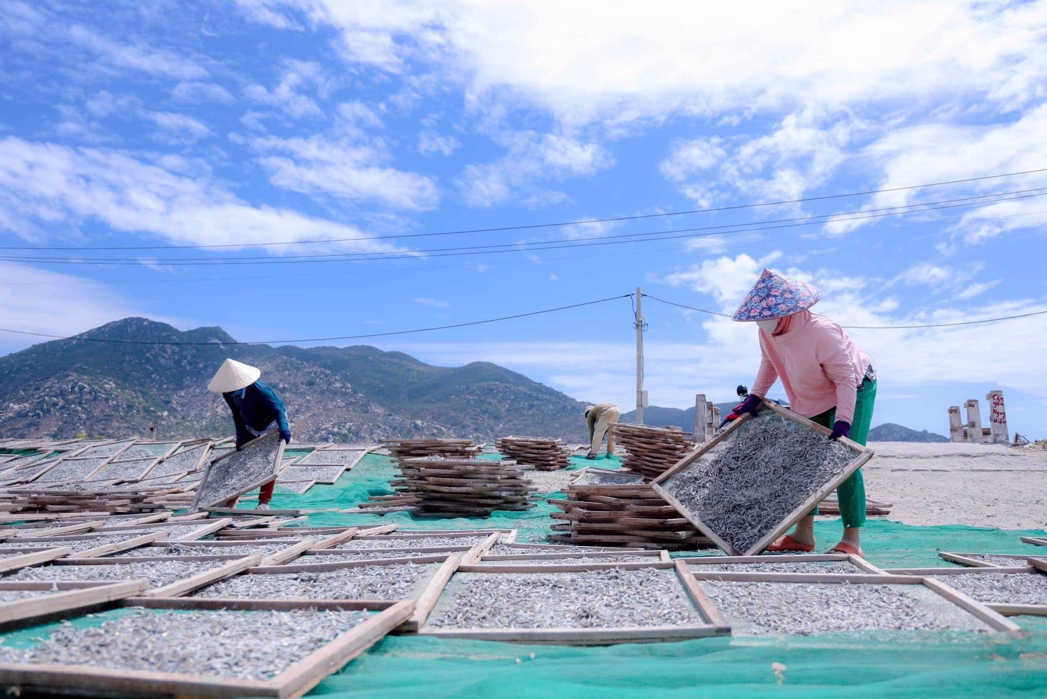 Hoạt động nhộn nhịp tại làng chài Cà Ná