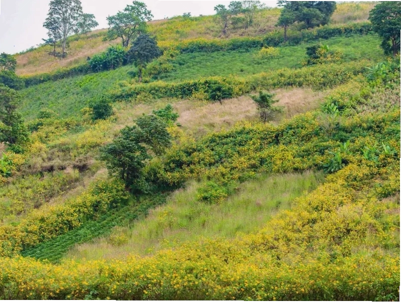 Hoạt động trên Biển Hồ Gia Lai