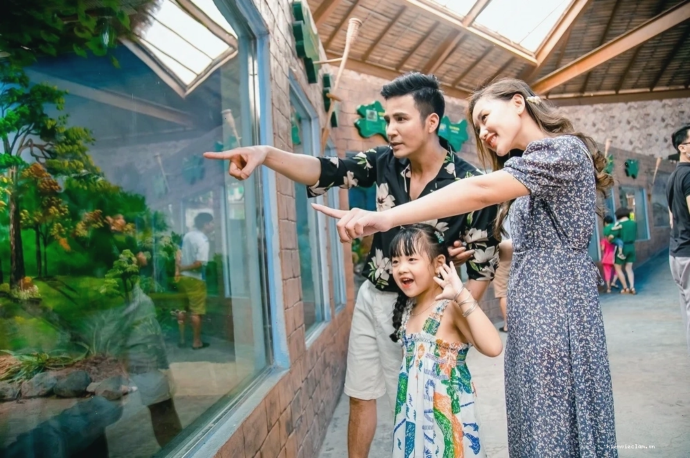 Khu vui chơi dưới nước tại Thiên đường Bảo Sơn