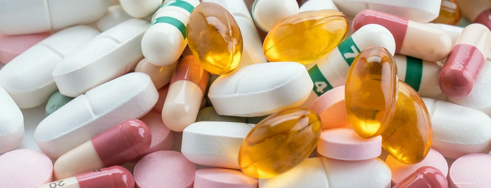 Lá ổi tương tác với thuốc điều trị