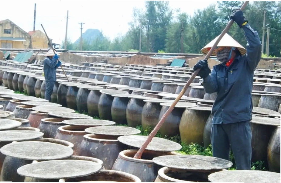 Làm nước mắm Cái Rồng