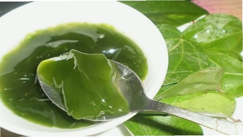 Lợi ích của lá sương sâm