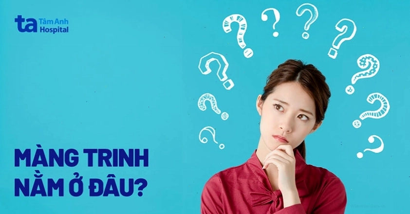 Màng trinh nằm ở đâu