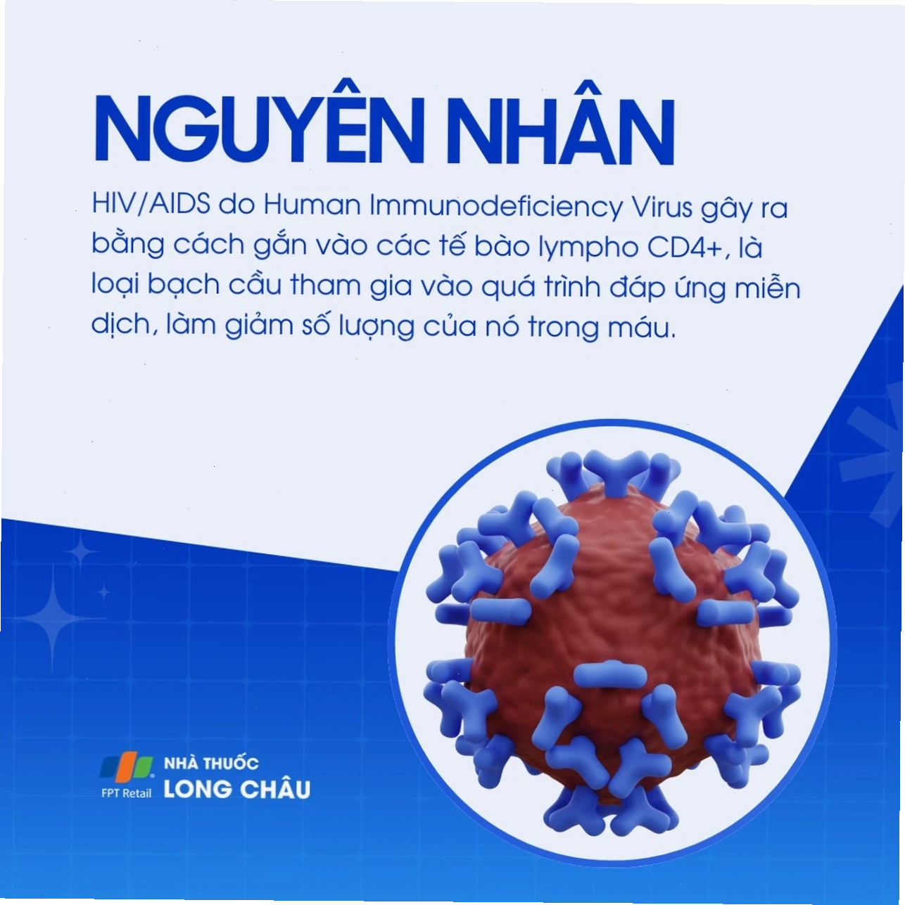 Mẫu vật xét nghiệm máu để chẩn đoán HIV