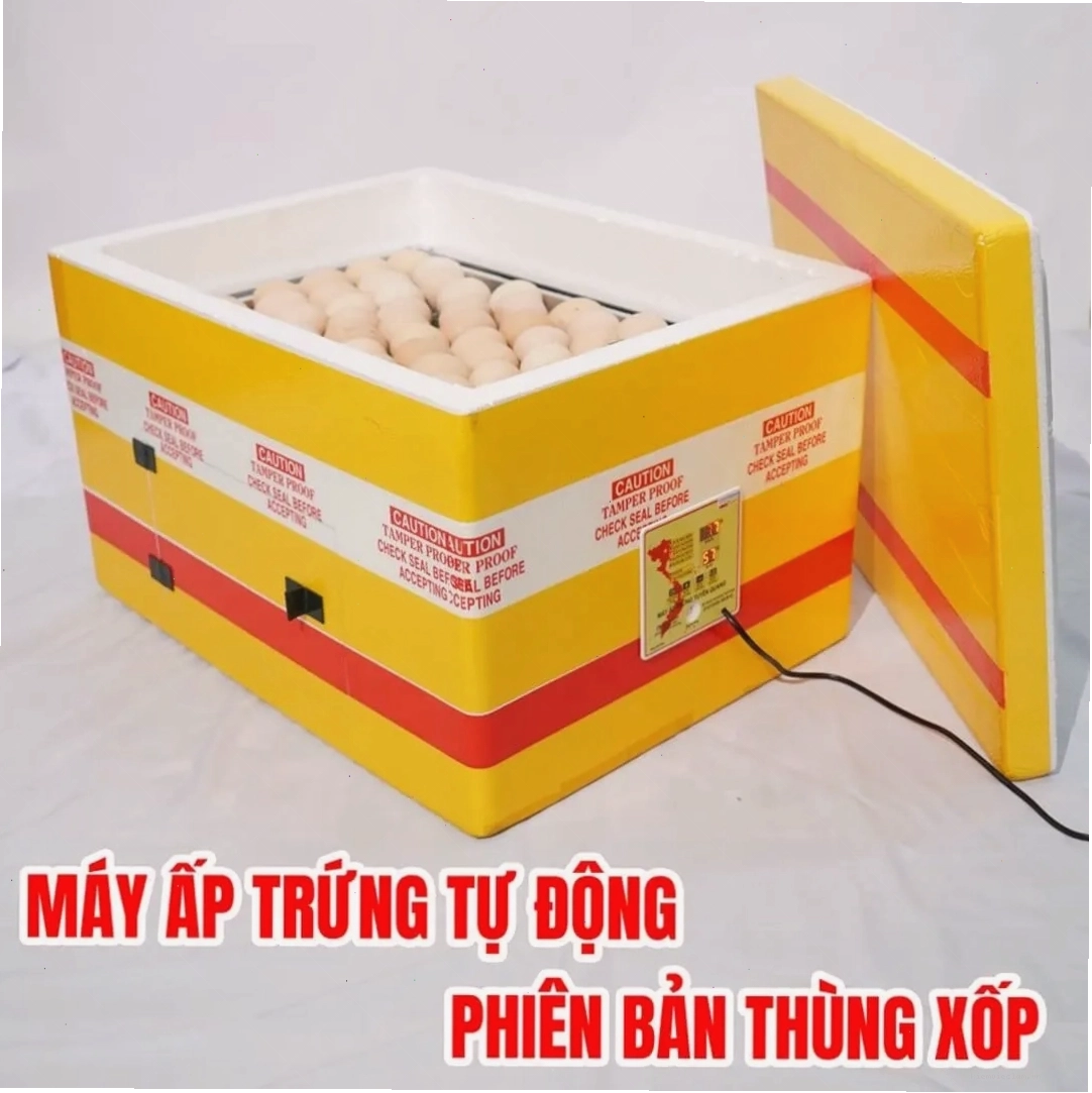 Máy ấp trứng gà vịt thùng xốp