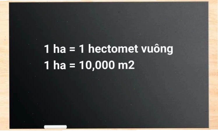 Minh họa cách quy đổi 1 hecta bằng bao nhiêu mét vuông