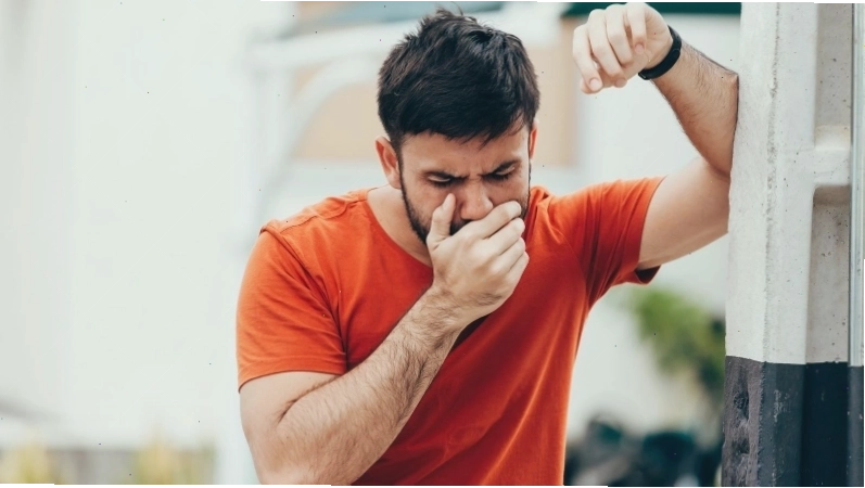 Minh họa hình ảnh các món ăn từ yến sào