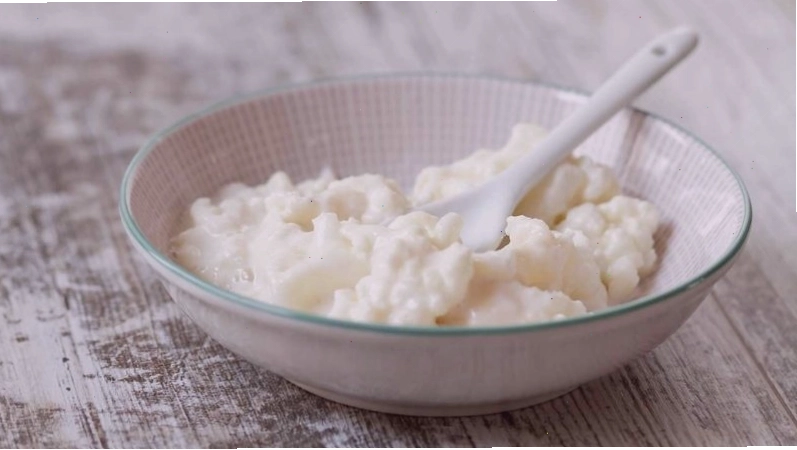 Nấm kefir sữa được làm từ sữa động vật