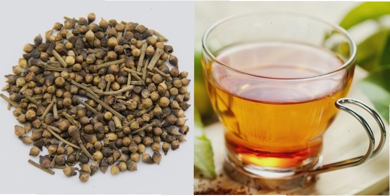 Nên dùng nụ, lá vối khô để pha trà thay vì dùng vối tươi thường xuyên.