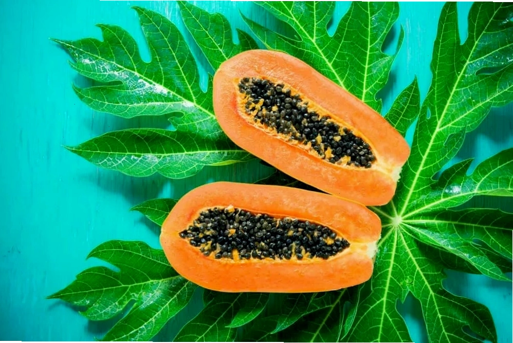 Ngộ độc lá đu đủ có thể xảy ra nếu dùng lá tươi không đúng cách