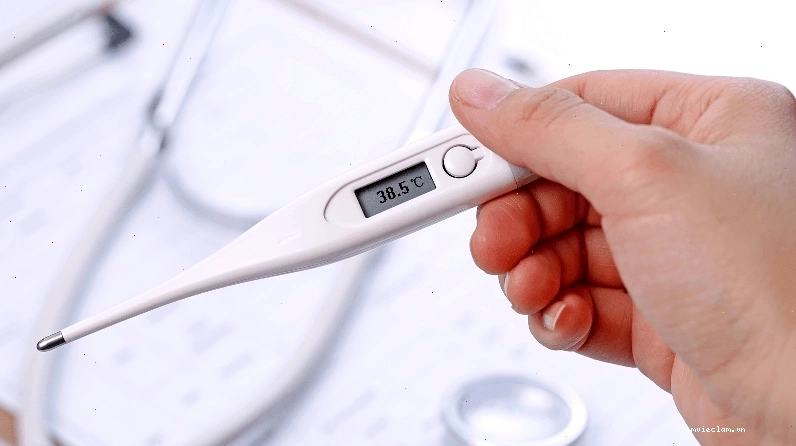 Người bệnh sốt mò thường có biểu hiện sốt cao trong giai đoạn toàn phát
