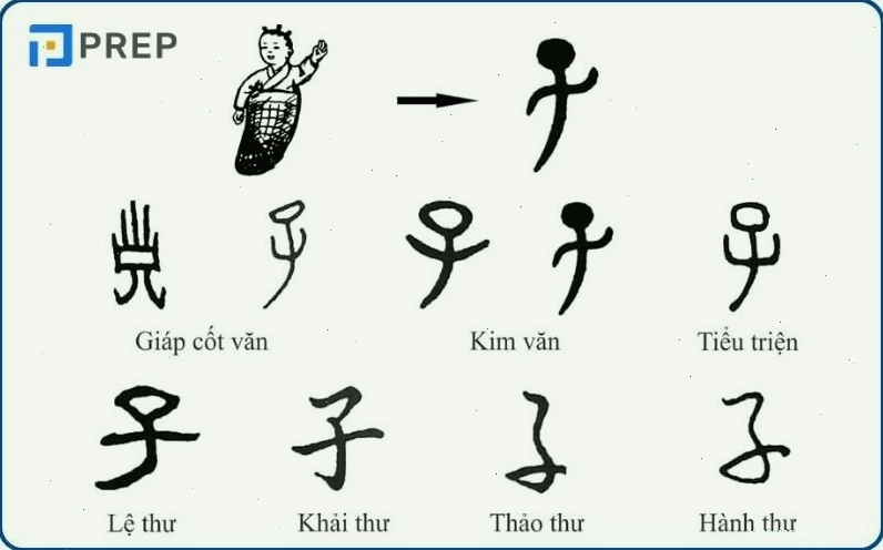 Nguồn gốc và cấu tạo chữ Hán