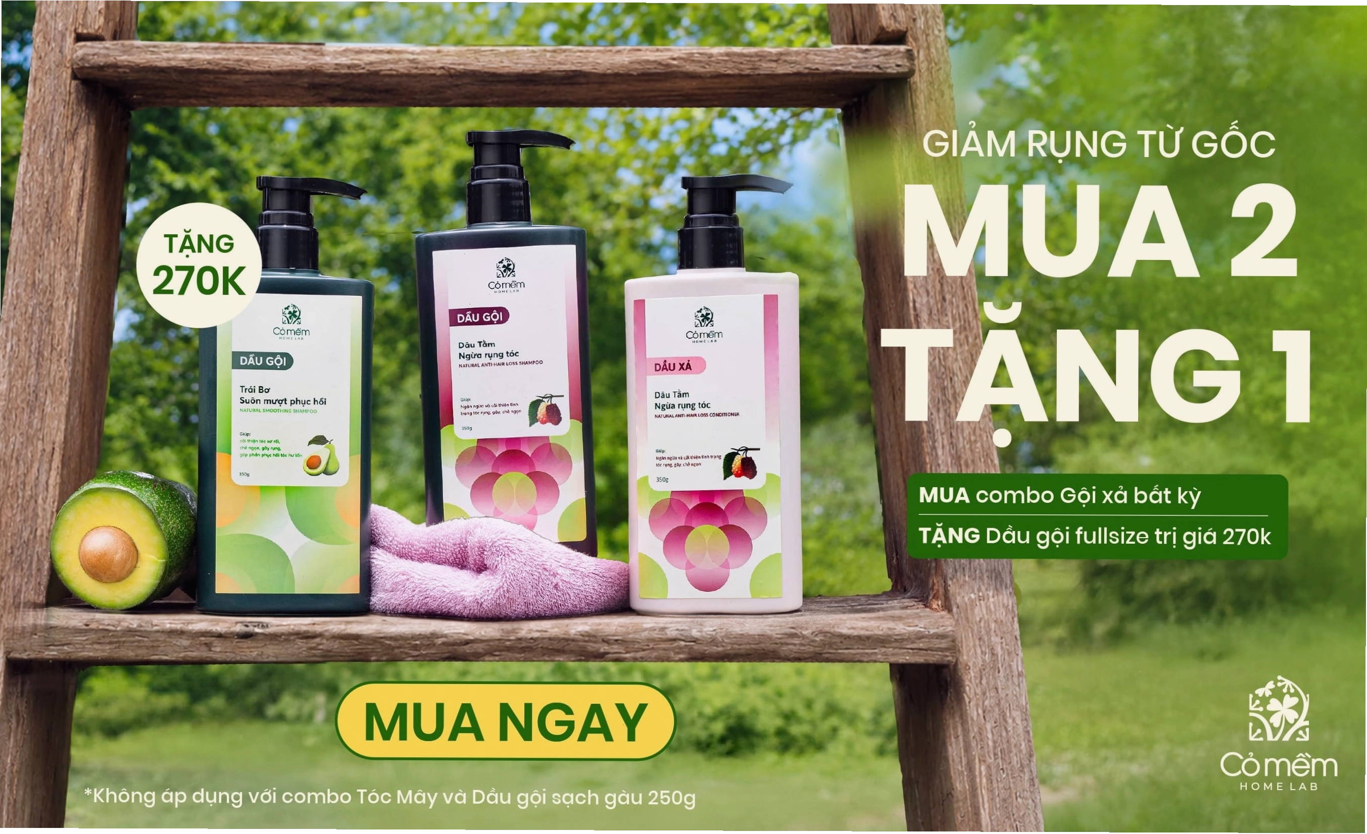 Nguyên liệu thiên nhiên làm dầu gội thảo dược