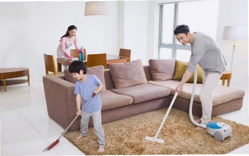 Nhà cửa sạch sẽ giúp hạn chế thằn lằn