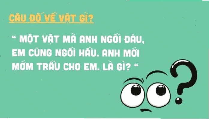 Nhiều câu hỏi trí tuệ mang tính giáo dục