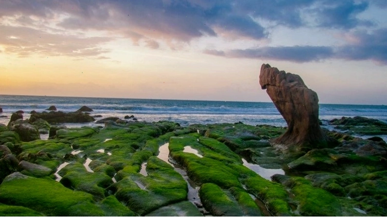 Những khối đá bảy sắc cầu vồng tại biển Cổ Thạch, Tuy Phong
