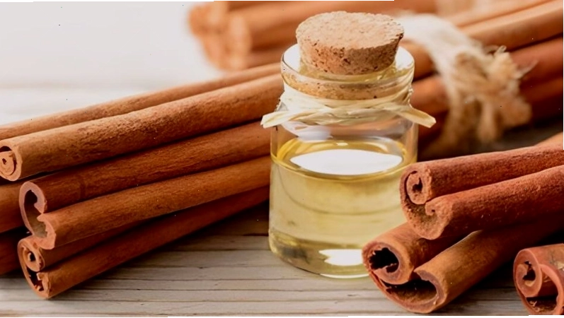 Những lưu ý quan trọng khi sử dụng tinh dầu quế