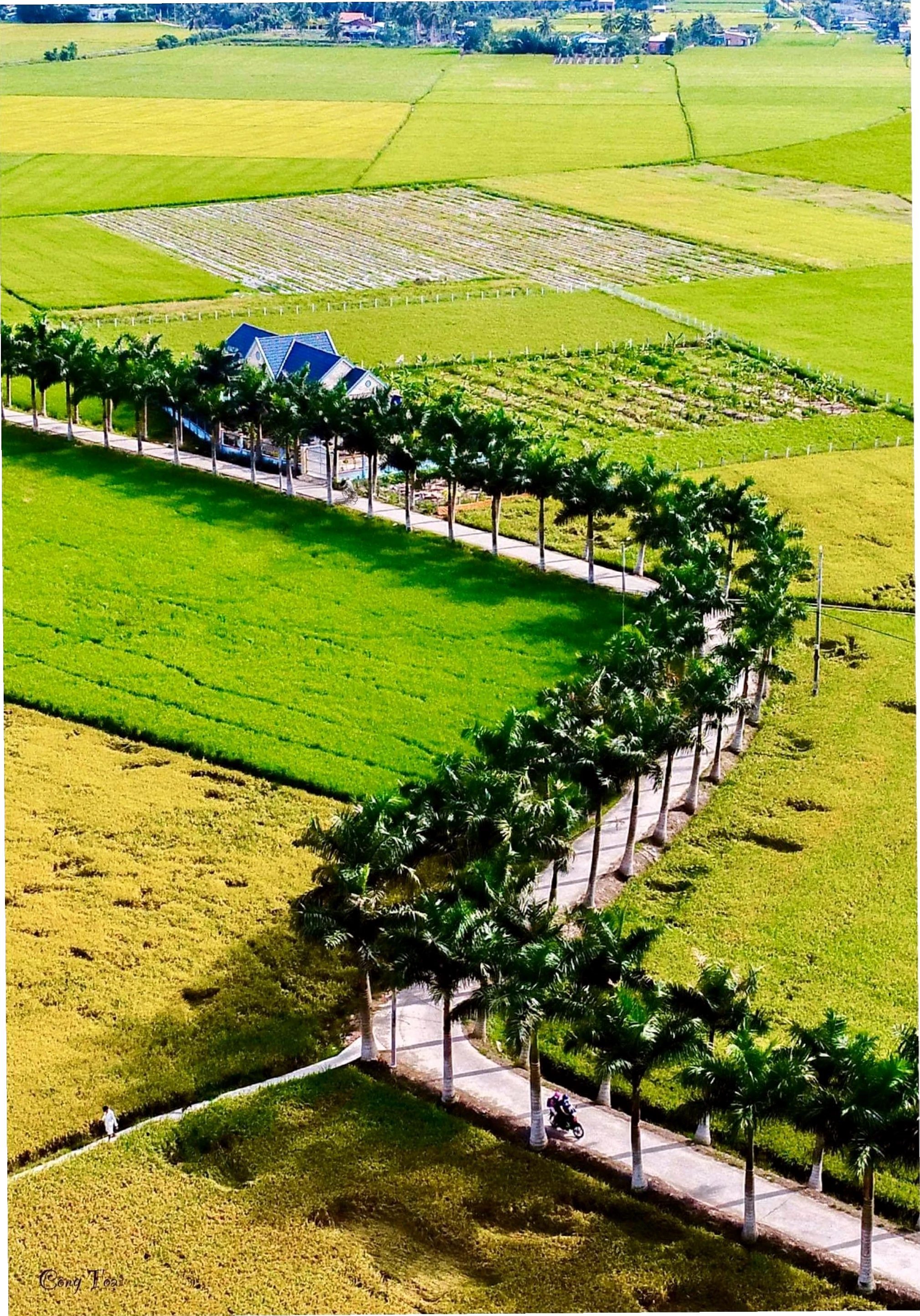 Nơi giáp nước đôi bờ sông Vàm Cỏ