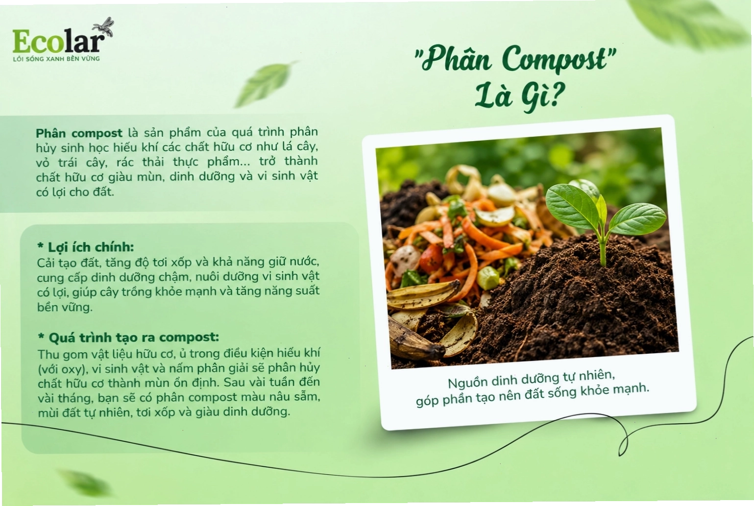 Phân compost là gì và ứng dụng trong nông nghiệp