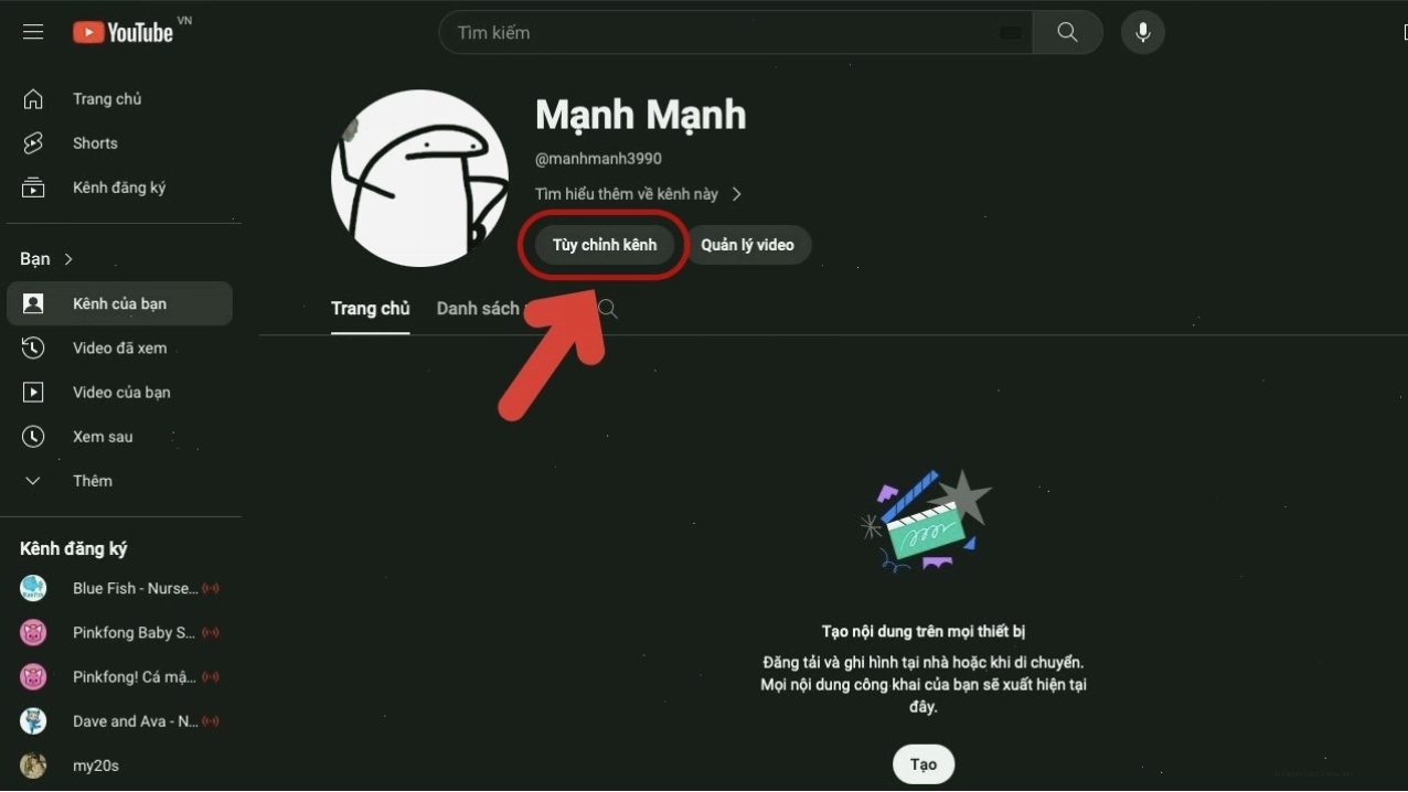 Phân tích hiệu suất kênh YouTube