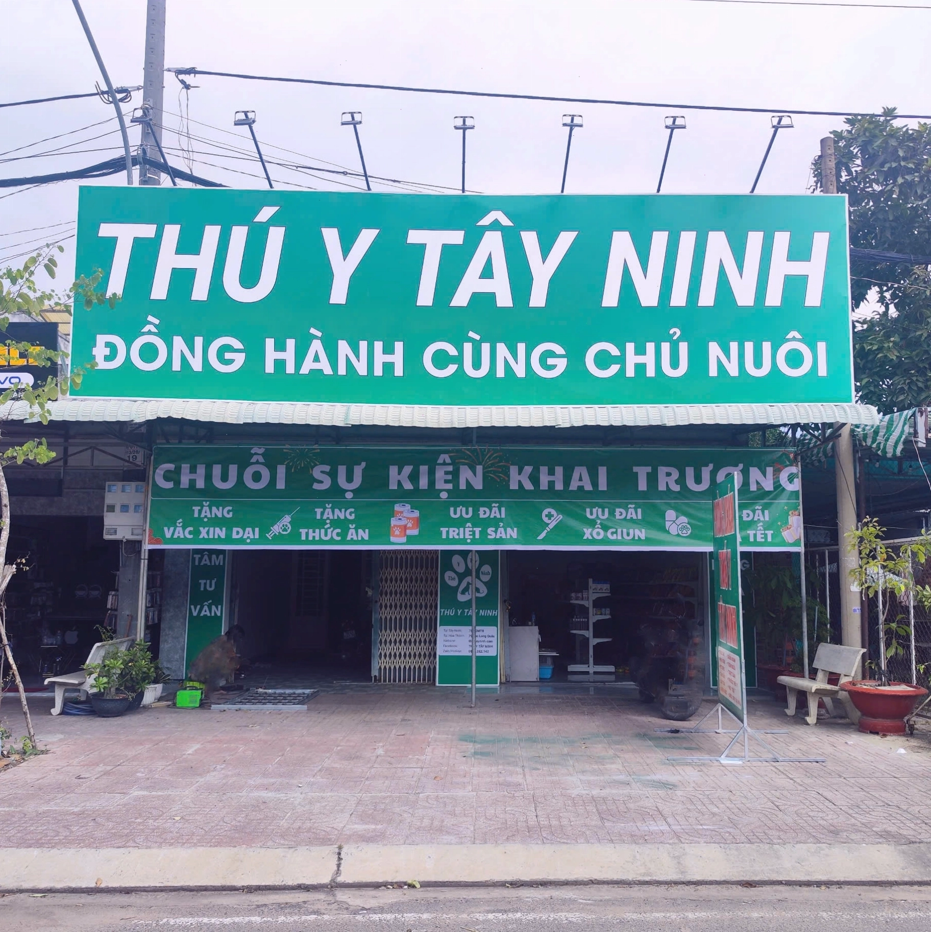 Phòng khám thú y Tây Ninh cung cấp dịch vụ chăm sóc mèo mẹ và con