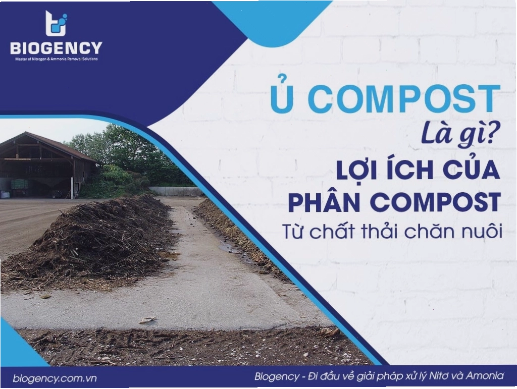 Quá trình ủ phân compost từ chất thải chăn nuôi